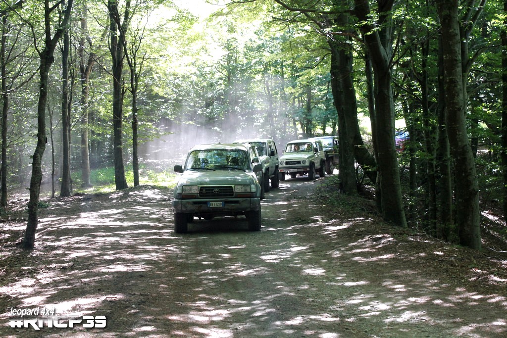 39Â° Raduno Nazionale delle Colline Pistoiesi - foto 152